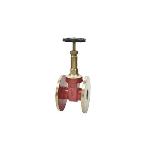 Sant Gun Metal Gate Valve 100 mm, IS 6A